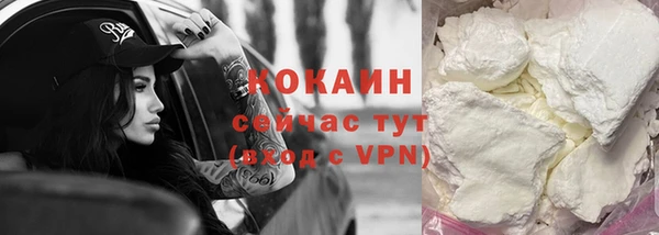 индика Покровск