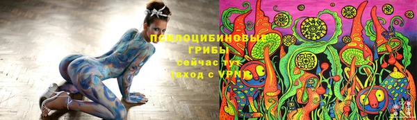 гашик Вяземский