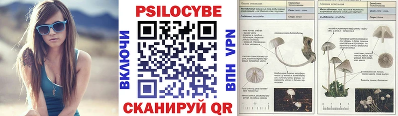 Псилоцибиновые грибы мухоморы Мелеуз